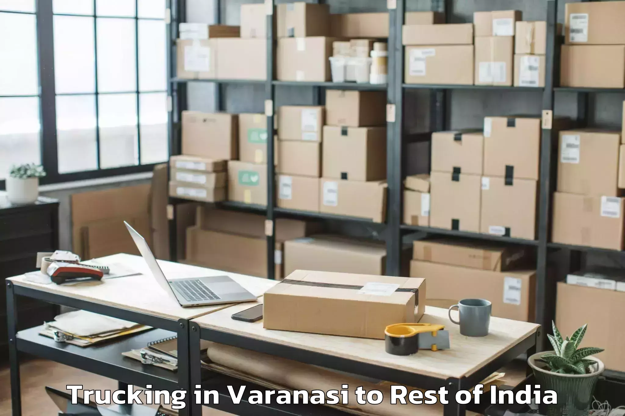 Professional Varanasi to Bishama Katek Trucking